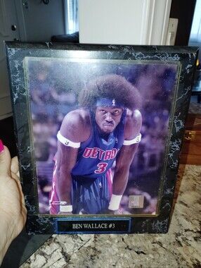 Ben Wallace Detroit Pistons Framed Photo Plaque - Blue/Purple